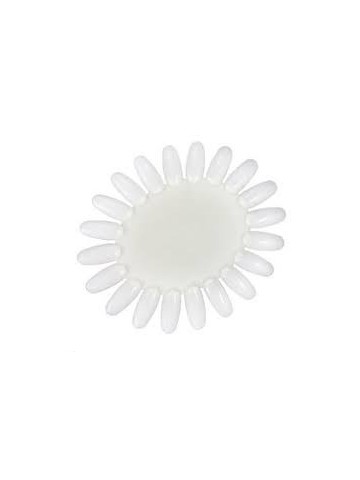 ESPOSITORE SMALTI RUOTA